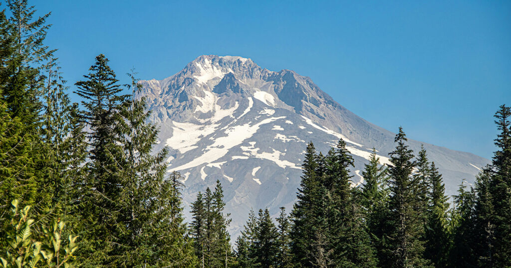 Welches, Oregon Animal Reiki 1 & 2 Training