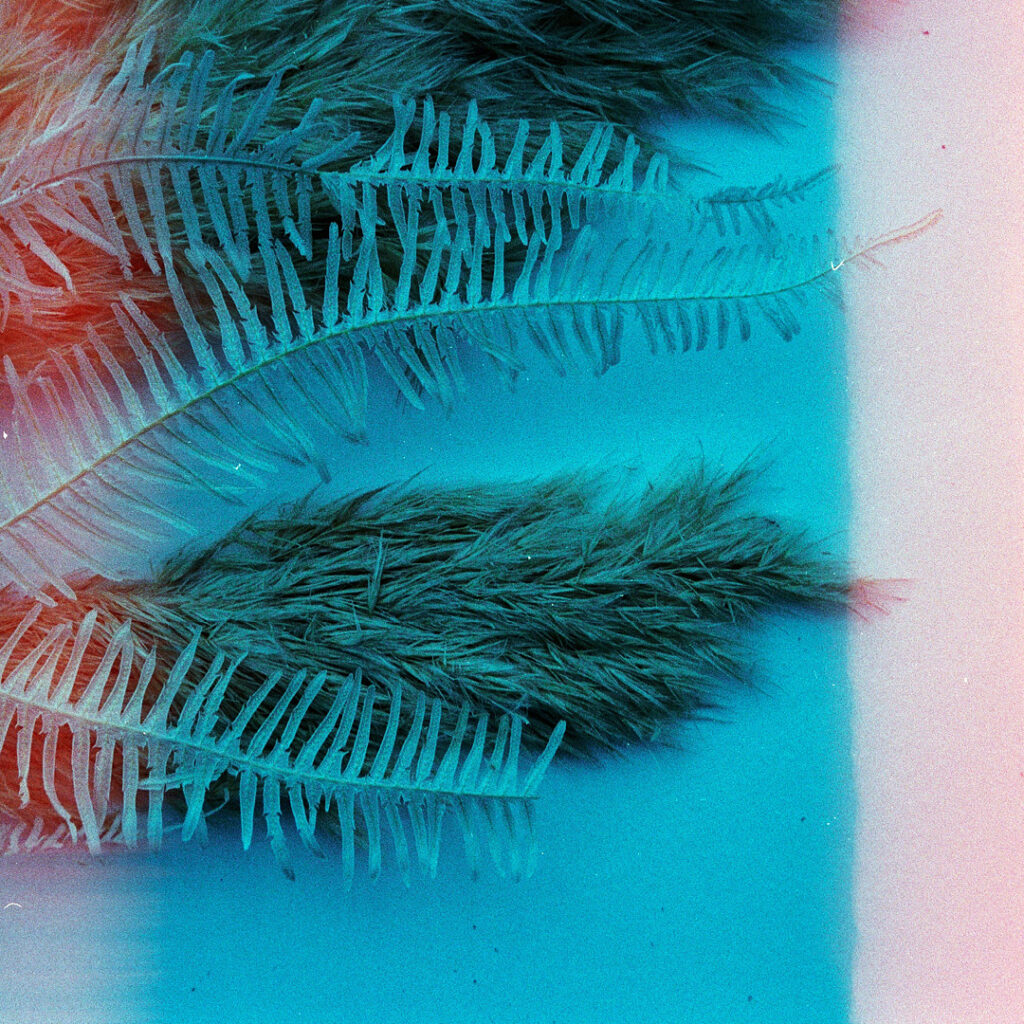 How to Balance Perspectives and Choose Your Path Forward